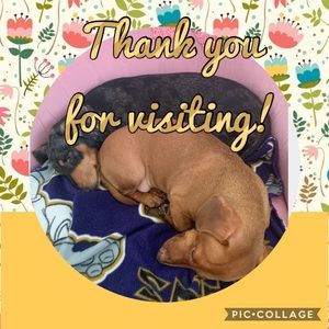 MAHALO for visiting my closet! πππ»ββοΈπΊπ»π